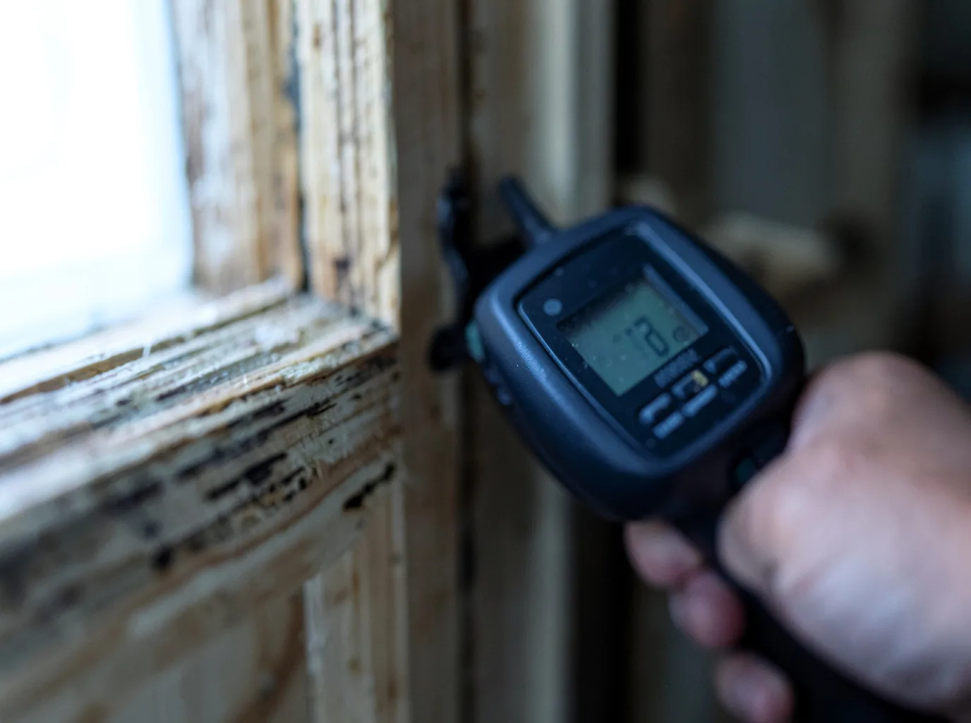 Moisture Inspection And Documentation in Ionia, IA